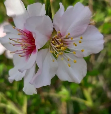 Rossio Sol Mar 3* لاغوس